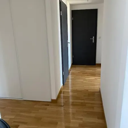 Apartment Superbe Sur Les Hauteurs D'ajaccio